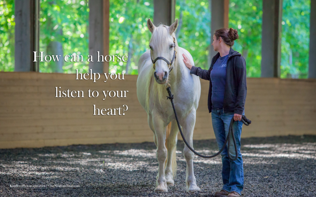 How can a horse help you listen to your heart?
