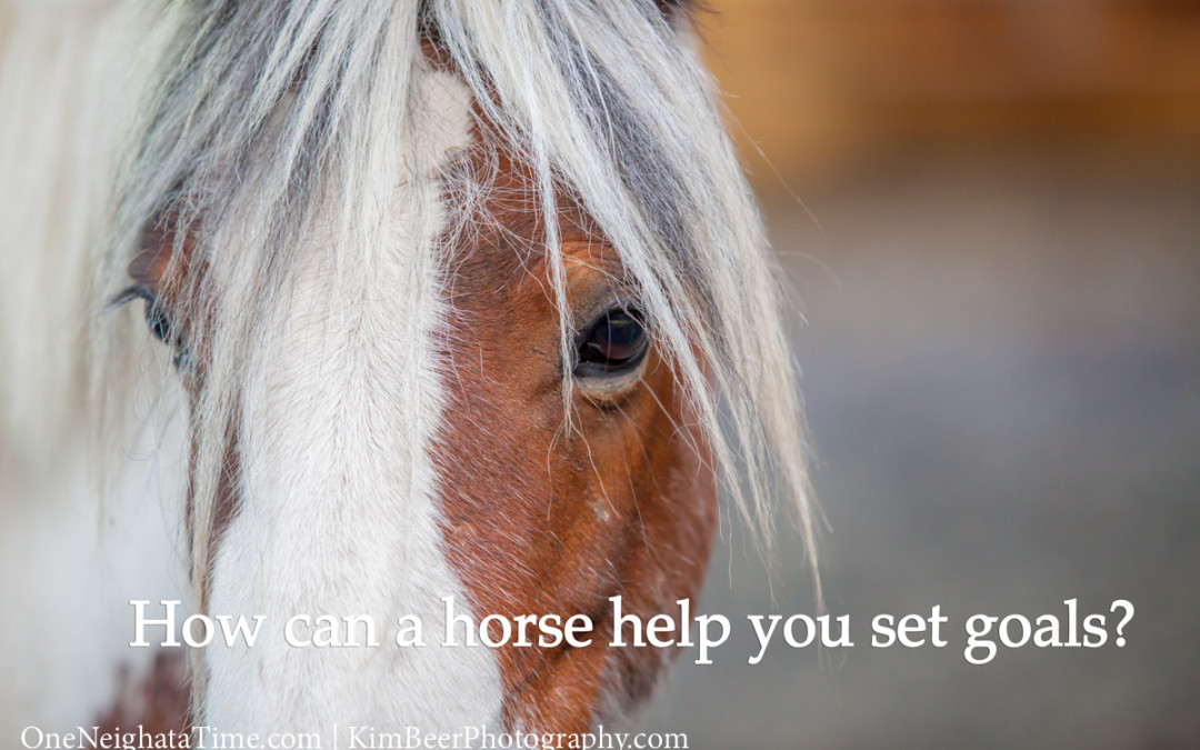 How can a horse help you set goals?