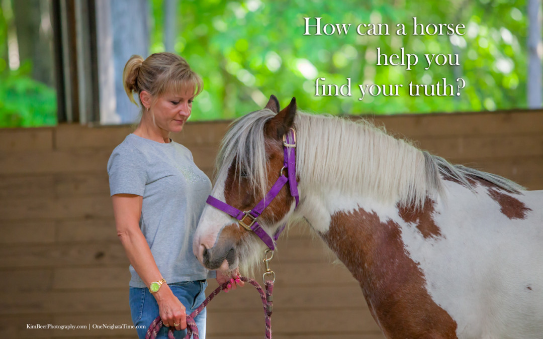 How can a horse help you find your truth?