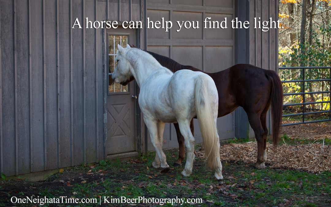 A horse can help you find the light.
