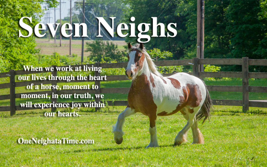 Introducing the Seven Neighs