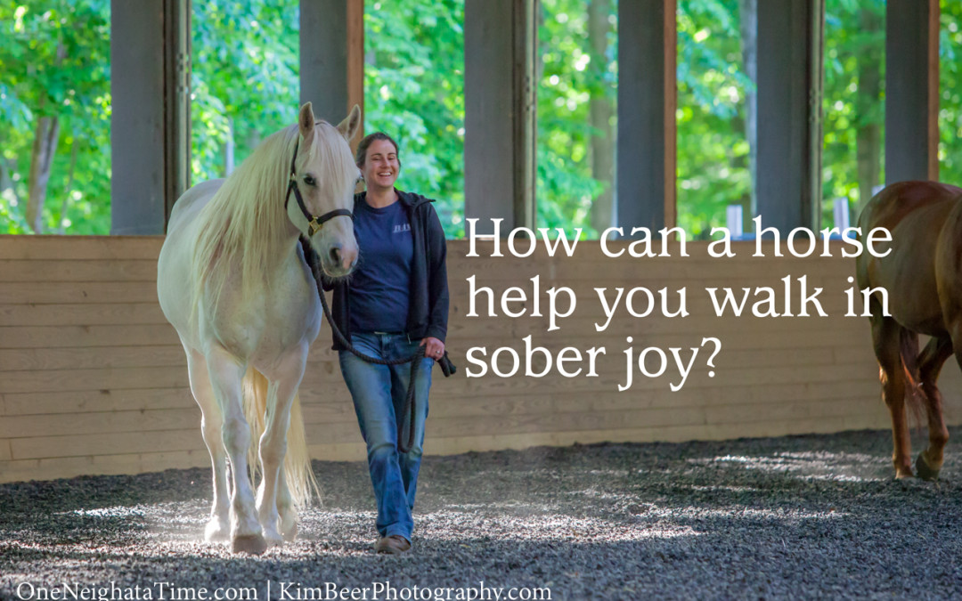 How can a horse help you walk in sober joy?
