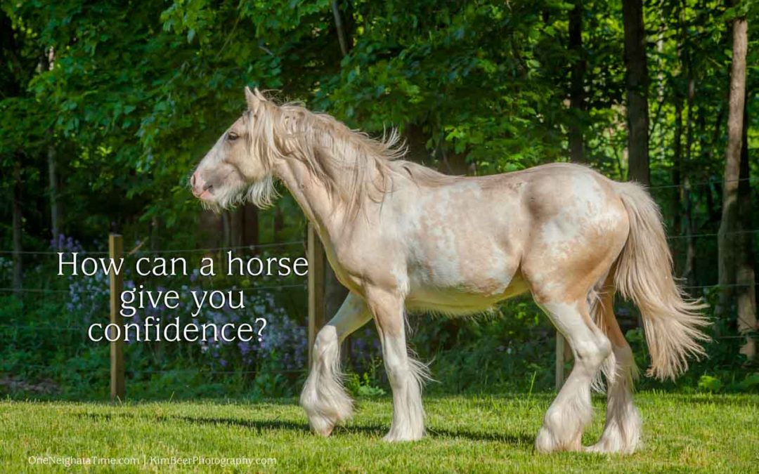How Can A Horse Give You Confidence?