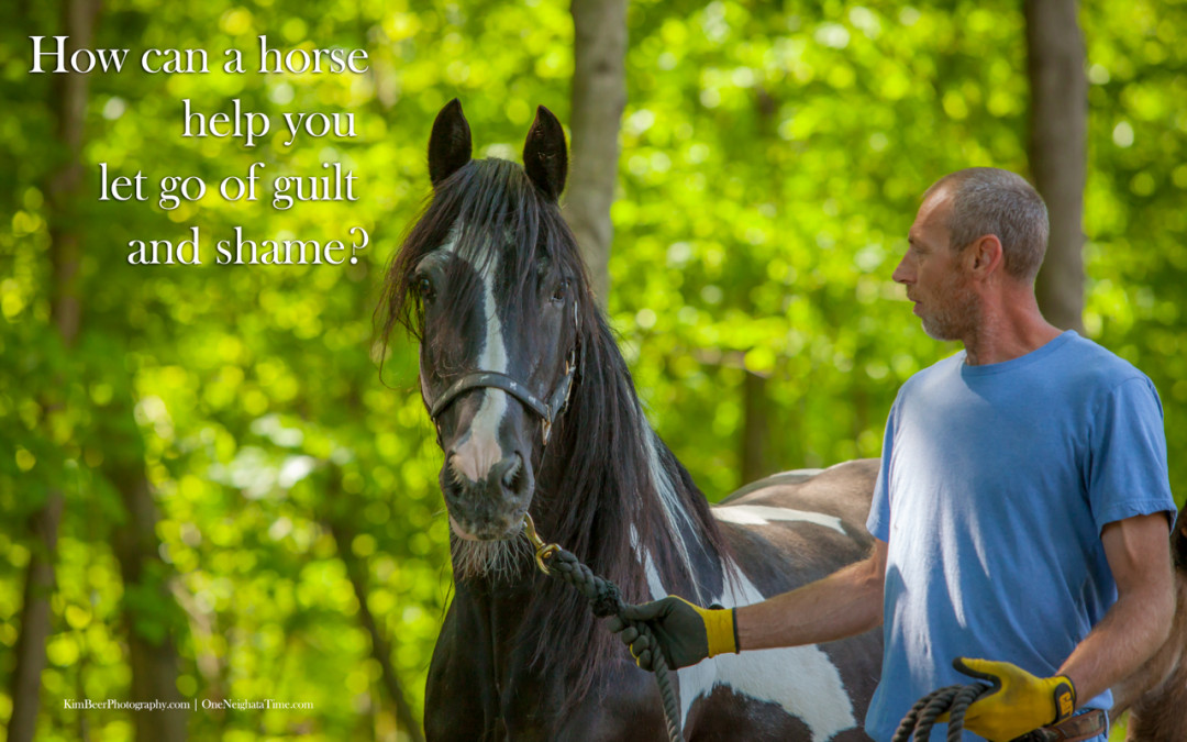 How can a horse help you let go of guilt and shame?