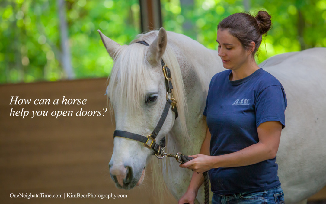 How can a horse help you open doors?