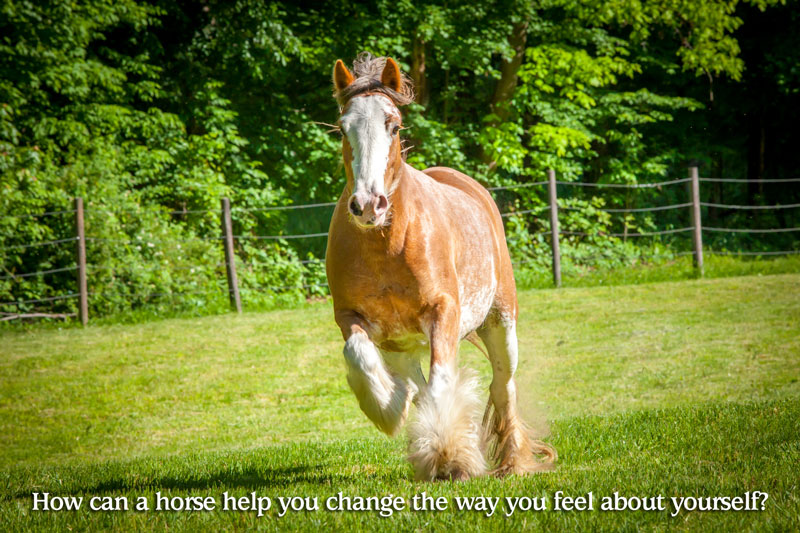 How can a horse help you change the way you feel about yourself?