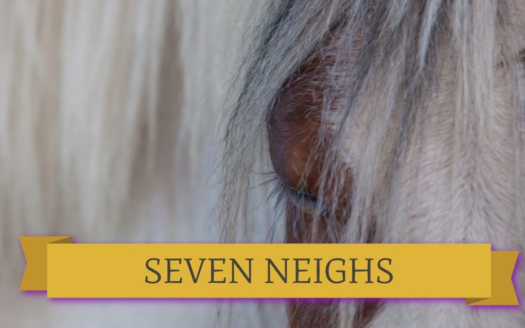 What might a horse Neigh to you about Recovery?​